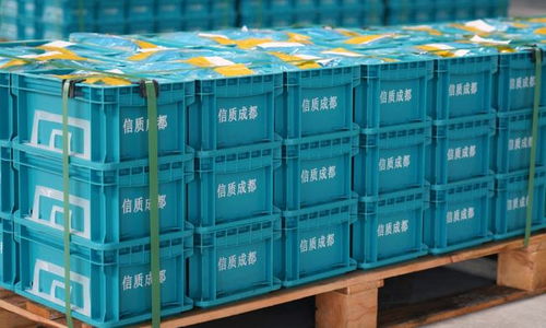 蒲江發(fā)展注入新動(dòng)力 數(shù)據(jù)處理驅(qū)動(dòng)的城市智慧轉(zhuǎn)型